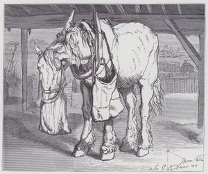 Un cheval de trait - Edwin (after) Landseer