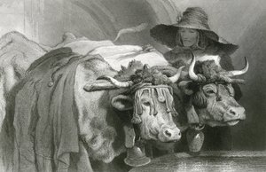 Bœufs au réservoir, Genève (gravure) - Edwin (after) Landseer