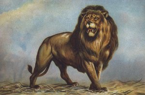 Étude pour le lion de Trafalgar Square par Landseer, National Gallery, Londres - Edwin (after) Landseer