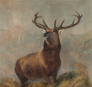 Le Monarque de la Glen, c.1822-73