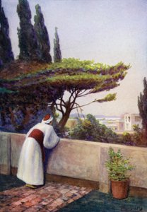 Un jour, son verre tomba sur la fenêtre de la princesse alors qu