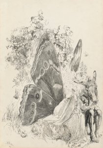 Bottom et Titania, illustration pour Le Songe d