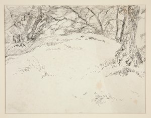 Scène de forêt