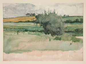 Paysage - Champs