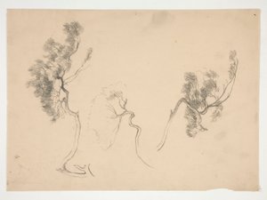 Esquisses de branches - Edwin Austin Abbey
