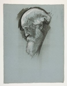 Étude de la tête d