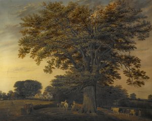 Le Chêne de Binley, 1848
