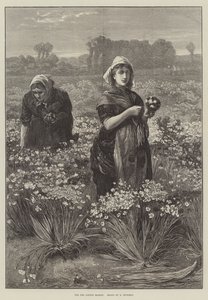 Pour le marché de Londres (gravure) - Edwin Buckman
