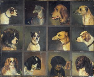 Douze Chiens Préférés, 1883