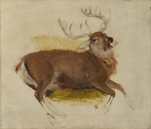 Cerf mourant, vers 1830