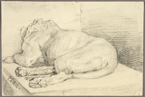 Lion couché, de dos