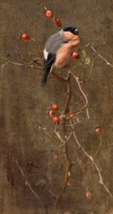 Le Bouvreuil - Edwin John Alexander