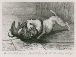 Combat entre Jacco Macacco, un singe célèbre, et la chienne bien connue de M. Thomas Cubb, Puss - Edwin Landseer