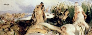 Chiens de loutre