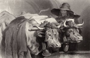 Bœufs au réservoir, Genève, Suisse - Edwin Landseer