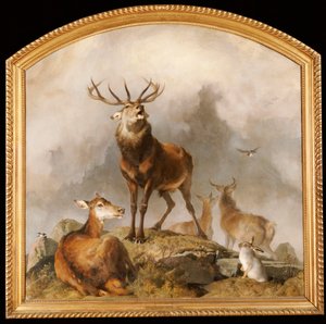 Scène à Braemar - Cerfs des Highlands