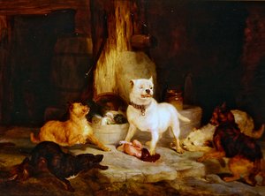 Le roi du château