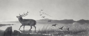 Le Sauvetage - Edwin Landseer