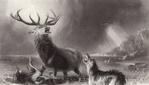 Le Cerf aux abois - Edwin Landseer