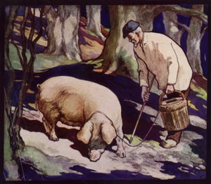 Un cochon truffier français