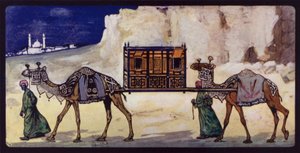 Chameaux avec un palanquin cérémonial