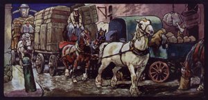 Chevaux Clydesdale au travail