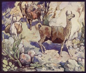 Lamas dans les Andes - Edwin Noble