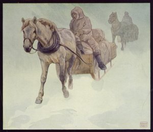 Poneys sibériens en Antarctique