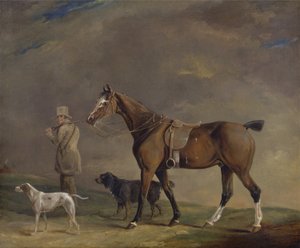Un chasseur avec poney de chasse et chiens de chasse