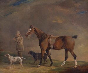 Un chasseur avec poney de chasse et chiens de chasse