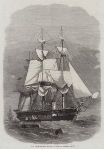 HM Steam-Corvette Racoon, 22 canons - Edwin Weedon
