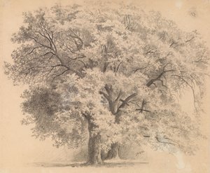 Sans titre - Eero Järnefelt