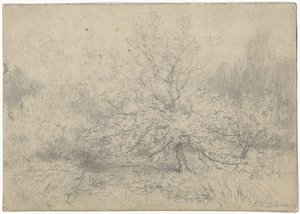 Paysage avec un arbre au centre - Egbert Rubertus Derk Schaap