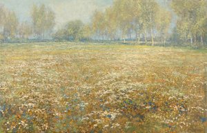 Prairie en fleurs - Egbert Rubertus Derk Schaap