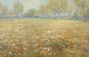 Prairie en fleurs - Egbert Schaap