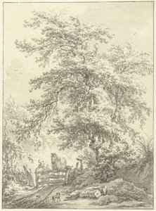 Femme avec cheval près d
