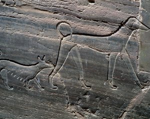 Couple de chiens, relief de l