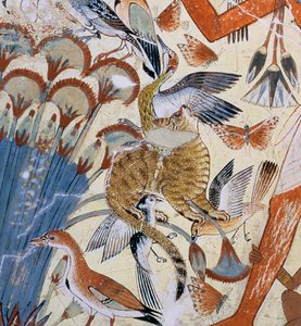 Détail d