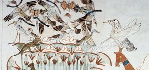 Canards, nids, papillons, chats et rongeurs, détail de la scène de chasse et de pêche dans les marais, fresque, mur nord, chambre longitudinale, Tombe thébaine TT69, Sheikh Abd el-Qurna, Thèbes. Civilisation égyptienne, Nouvel Empire, XVIIIe dynastie. - Egyptian 18th Dynasty
