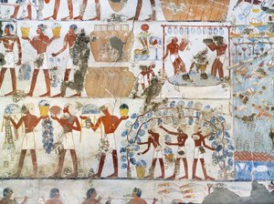Égypte, Thèbes, Louxor, Sheikh 