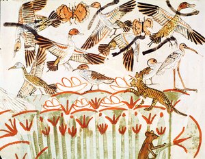 Pêche et chasse dans les marais, détail des oiseaux, de la chapelle funéraire de Menna, Nouvel Empire (détail) - Egyptian 18th Dynasty