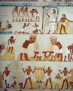 Récolte, battage et vannage du grain (détail) - Egyptian 18th Dynasty