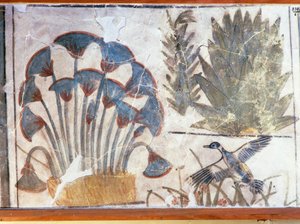 Canard entre les plantes, du Palais d
