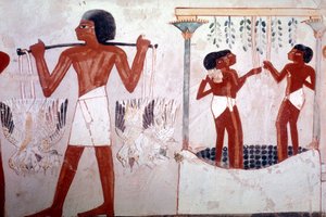 Image inconnue - Egyptian 18th Dynasty