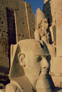 Tête colossale de Ramsès II (1298-32 av. J.-C.) Nouvel Empire