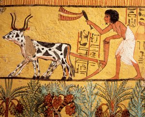 Égypte, Thèbes antique, Deir el-Medina, tombe de Sennedjem, peinture murale représentant Sennedjem labourant les champs d