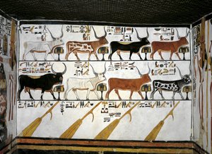 Égypte, Thèbes, Louxor, Vallée des Reines, Tombe de Néfertari, Annexe à l