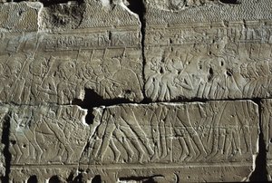 Relief, Temple d