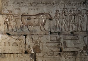 Relief, Temple de Ramsès II, Abydos, Égypte, civilisation égyptienne, Nouvel Empire, Dynastie XIX - Egyptian 19th Dynasty