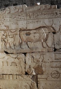 Relief, Temple de Ramsès II, Abydos, Égypte, Civilisation égyptienne, Nouvel Empire, XIXe dynastie - Egyptian 19th Dynasty